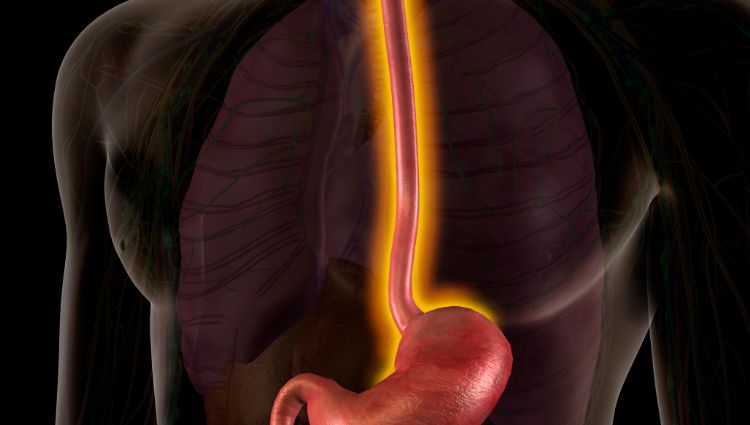 Phmetria esofágica - Imagem Ilustrativa